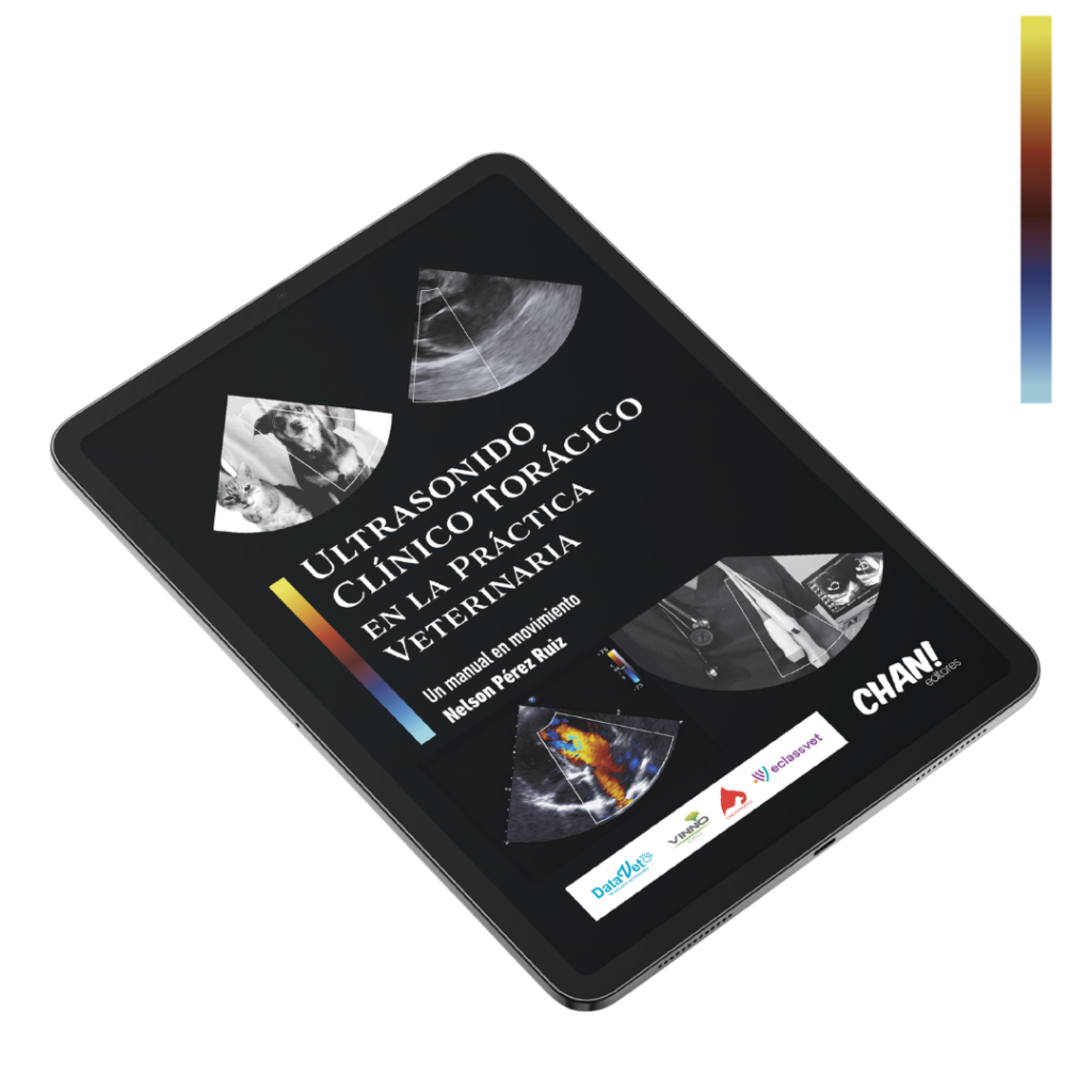 Comprar Ultrasonido Clínico Torácico — disponible en Amazon y Kindle